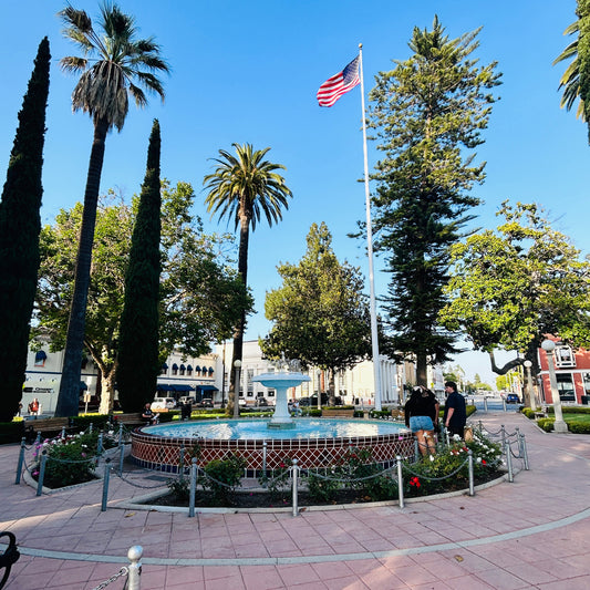 Exciting News! Resident Vinyl is Opening a Second Location in Old Towne Orange