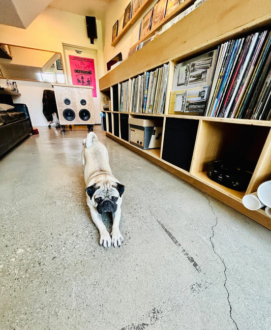 Temporary Changes at DTSA Store: New Location & Hiring Soon!