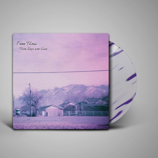 Free Throw - Those Days Are Gone (LP)