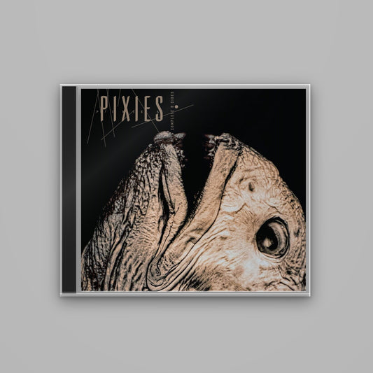 Pixies - Complete B Sides: 1988-97 (CD)