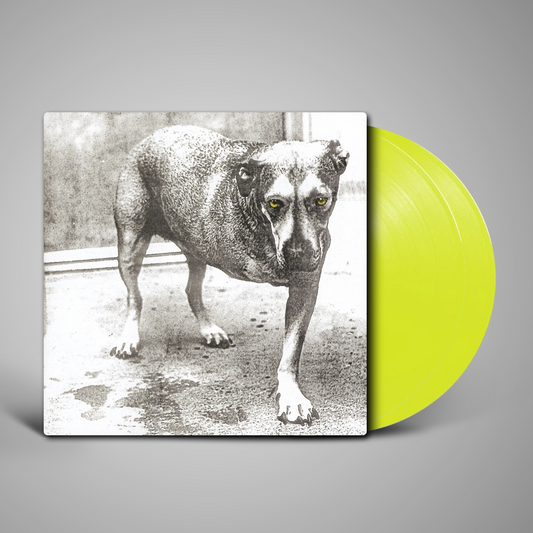 Alice In Chains - Alice In Chains (30th Anniversary Reissue)