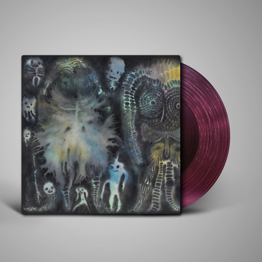 Dinosaur Jr. - There Near (PRE-ORDER)