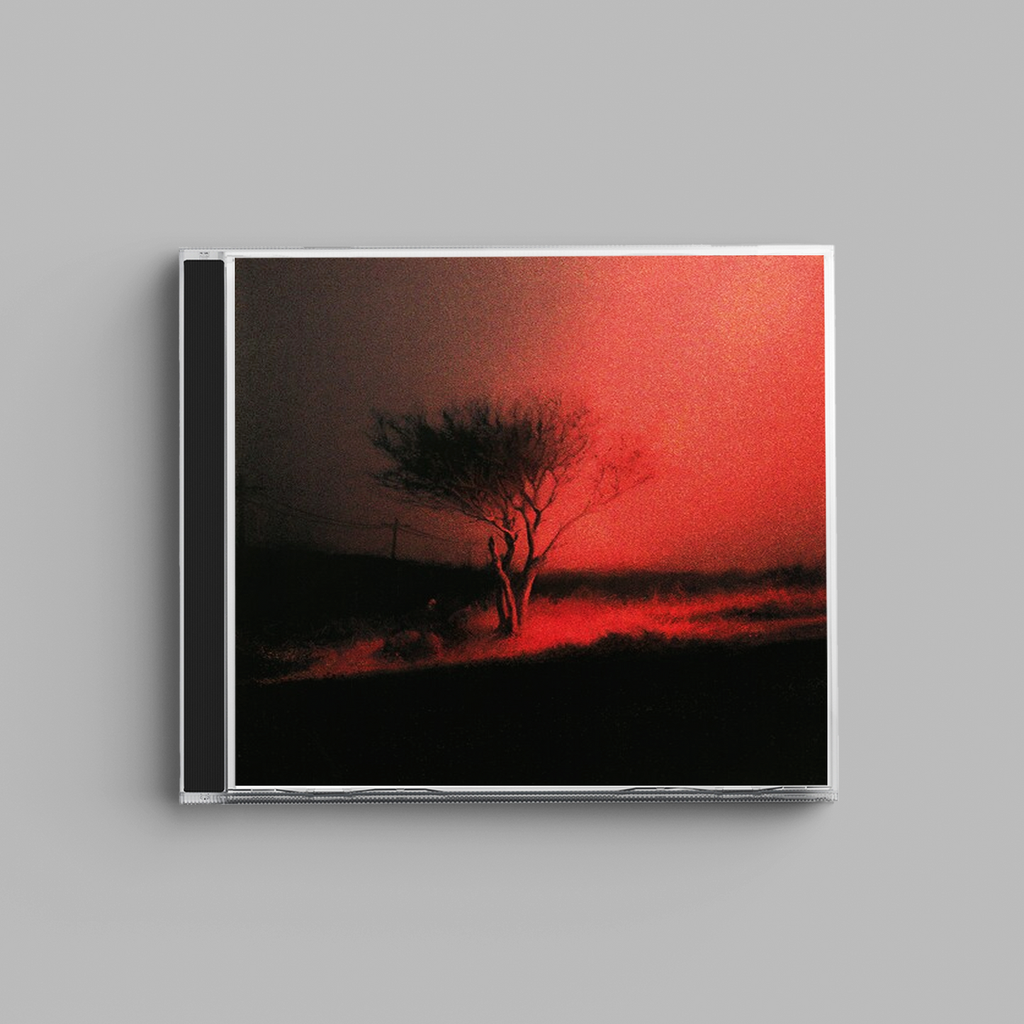Joji - Piss In The Wind (CD)