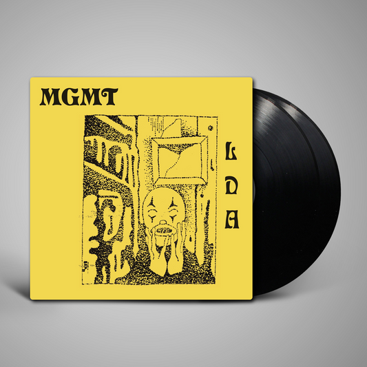 MGMT - Little Dark Age
