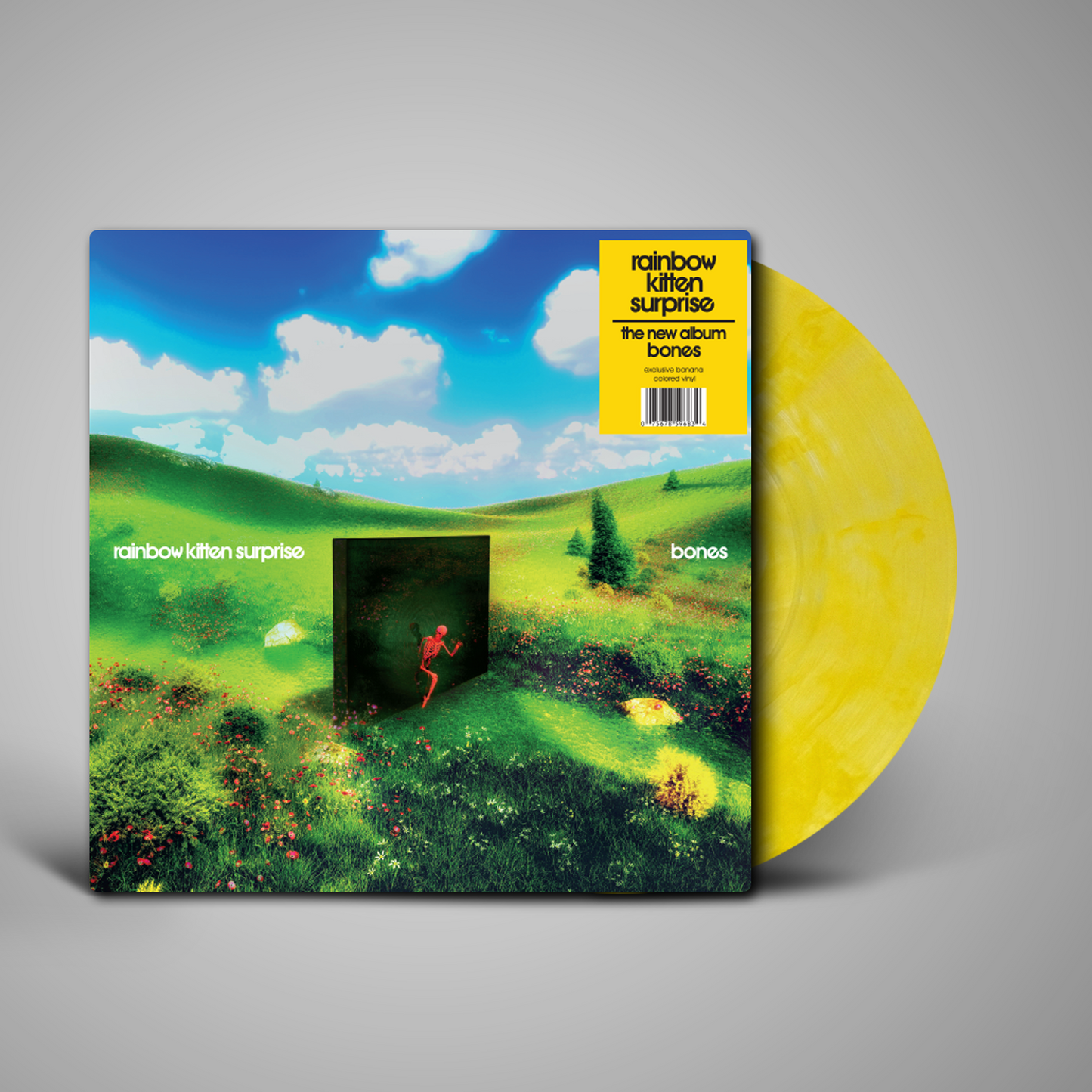 Rainbow Kitten Surprise - Bones (Pre-Order)