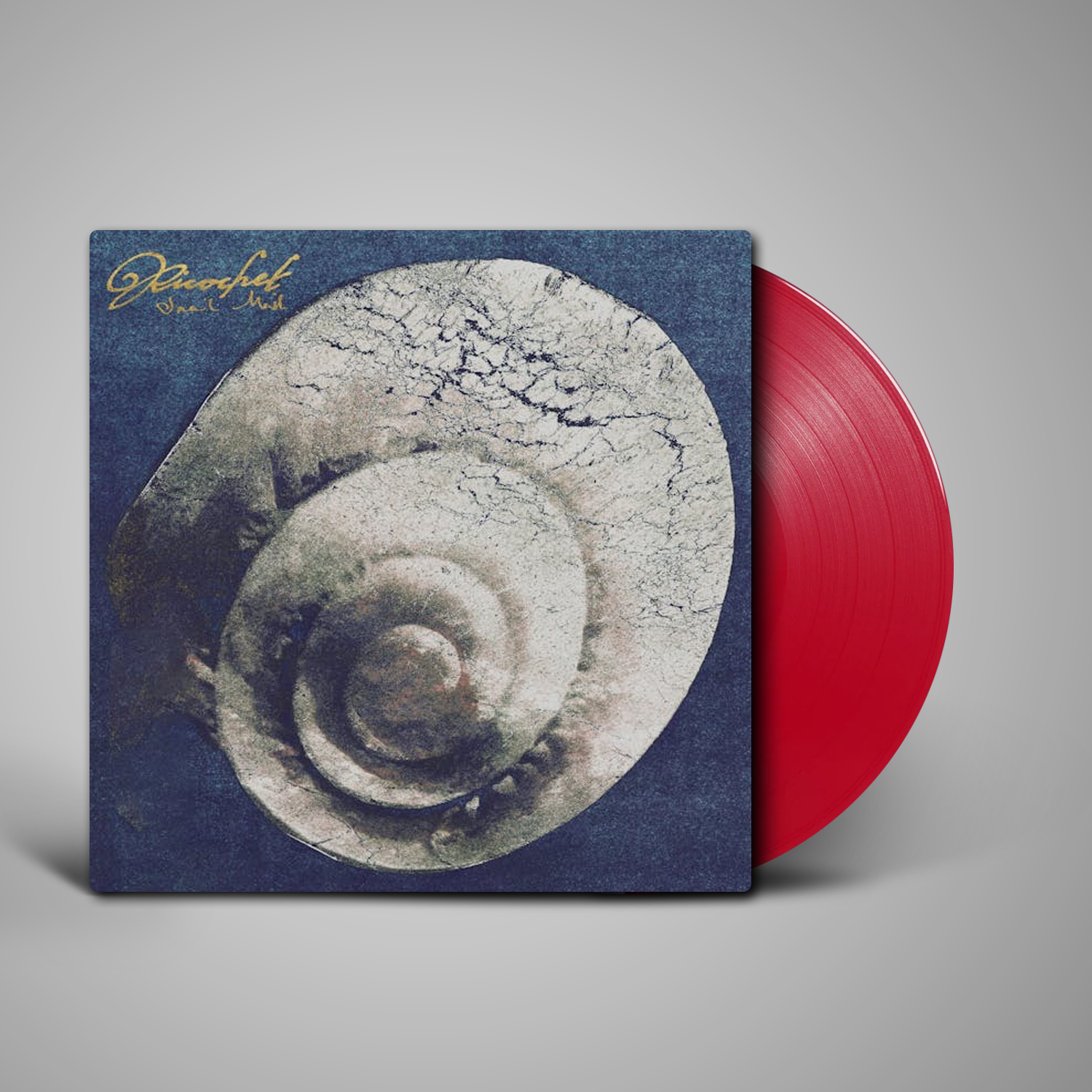 洋楽 Snail Mail Ricochet LP BIG LOVE RECORDS 洋楽 Snail Mail