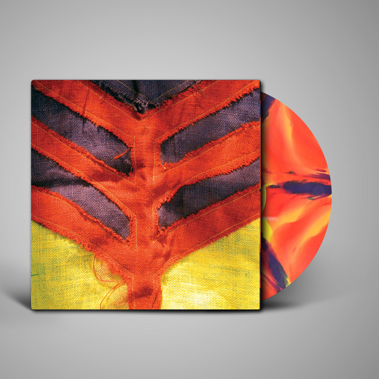 Yeah Yeah Yeahs - Show Your Bones (Vinyl)