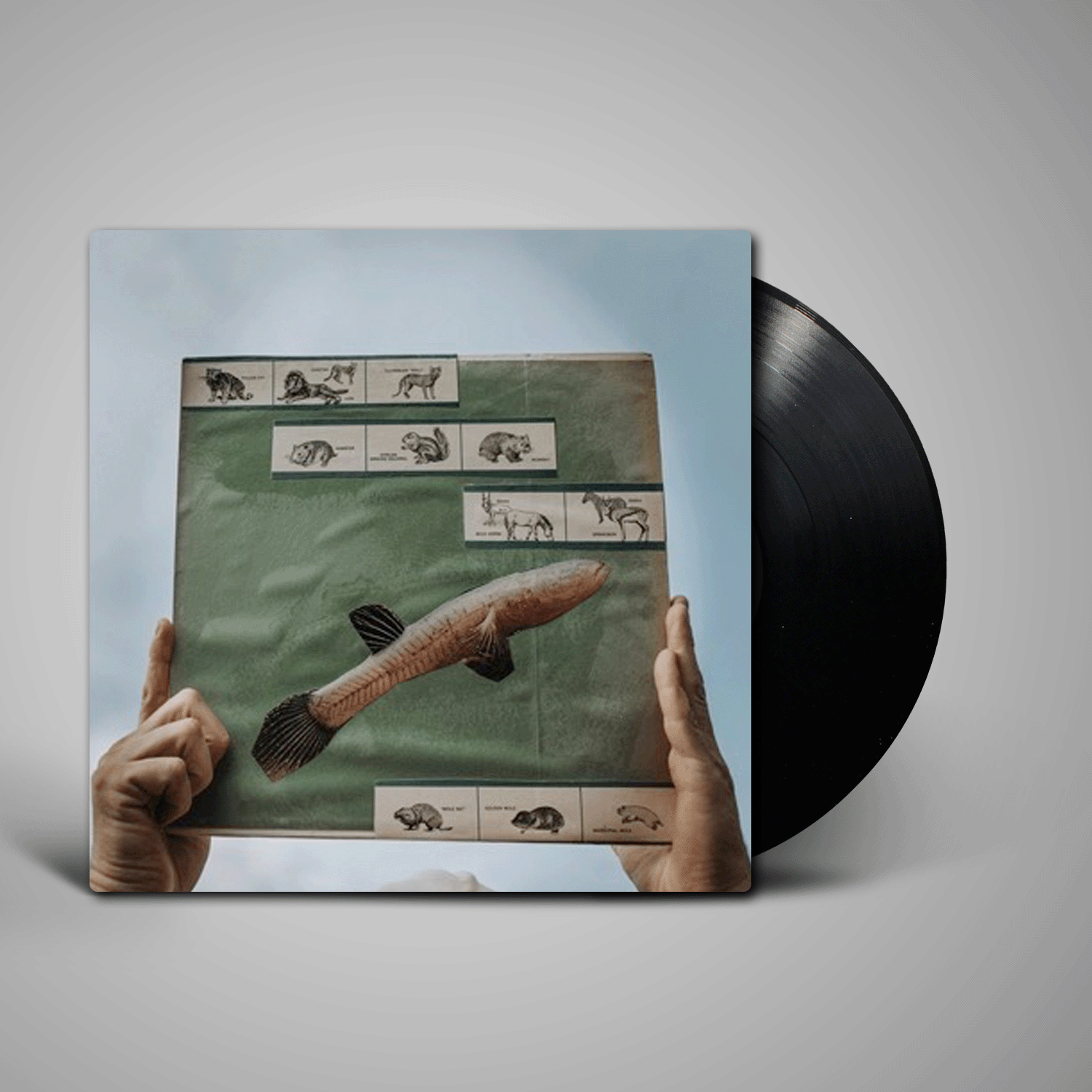 Cotton Jones The River Strumming Resident Vinyl