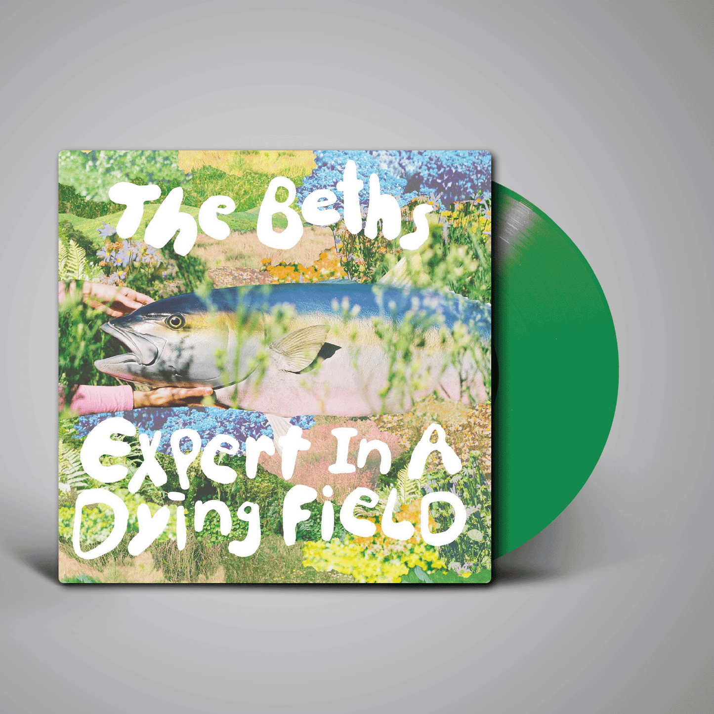 Beths, The - Expert In A Dying Field