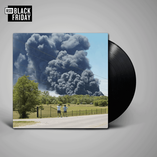 Hold Steady, The - Death Of The Punchline / Radar & Leda