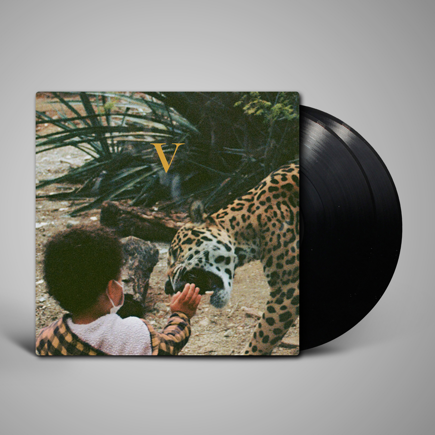 Unknown Mortal Orchestra - V