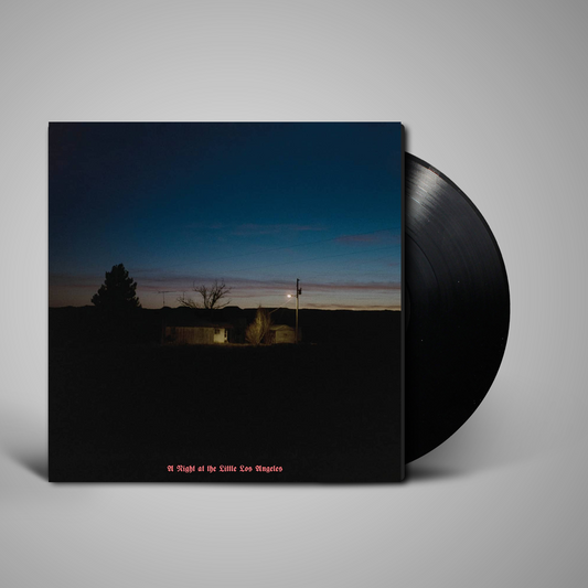 Kevin Morby - A Night at the Little Los Angeles