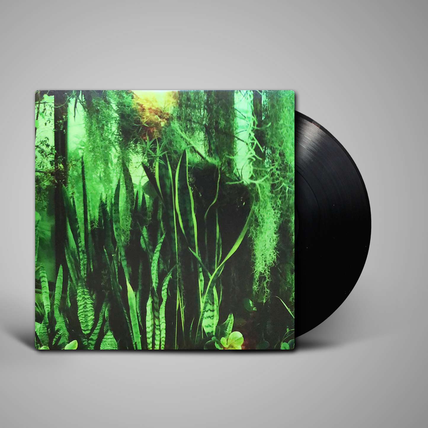 Promise Ring, The - Wood/Water