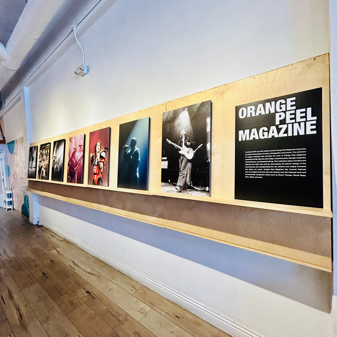 Orange Peel Magazine Concert Photography Exhibit