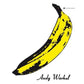 the album cover for Velvet Underground - Velvet Underground & Nico [Import]