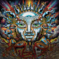 the album cover for Sublime - Until The Sun Explodes