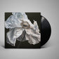 Quicksand - Bring On The Psychics (Indie Retail Exclusive Coffee Swirl) (LP)