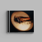Cameron Winter - Live at Carnegie Hall (CD) (Pre-Order)
