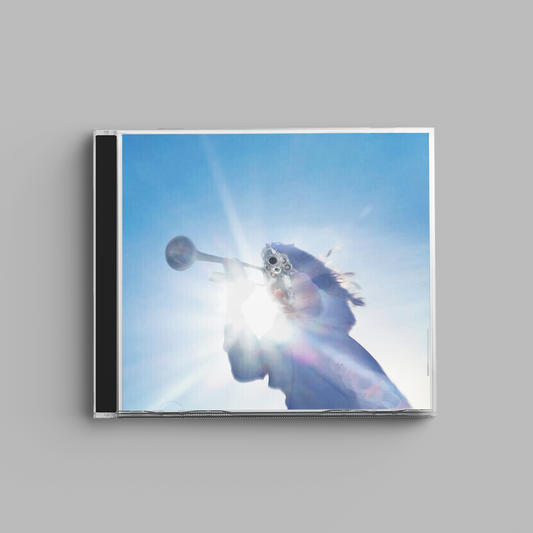Geese - Getting Killed (CD)
