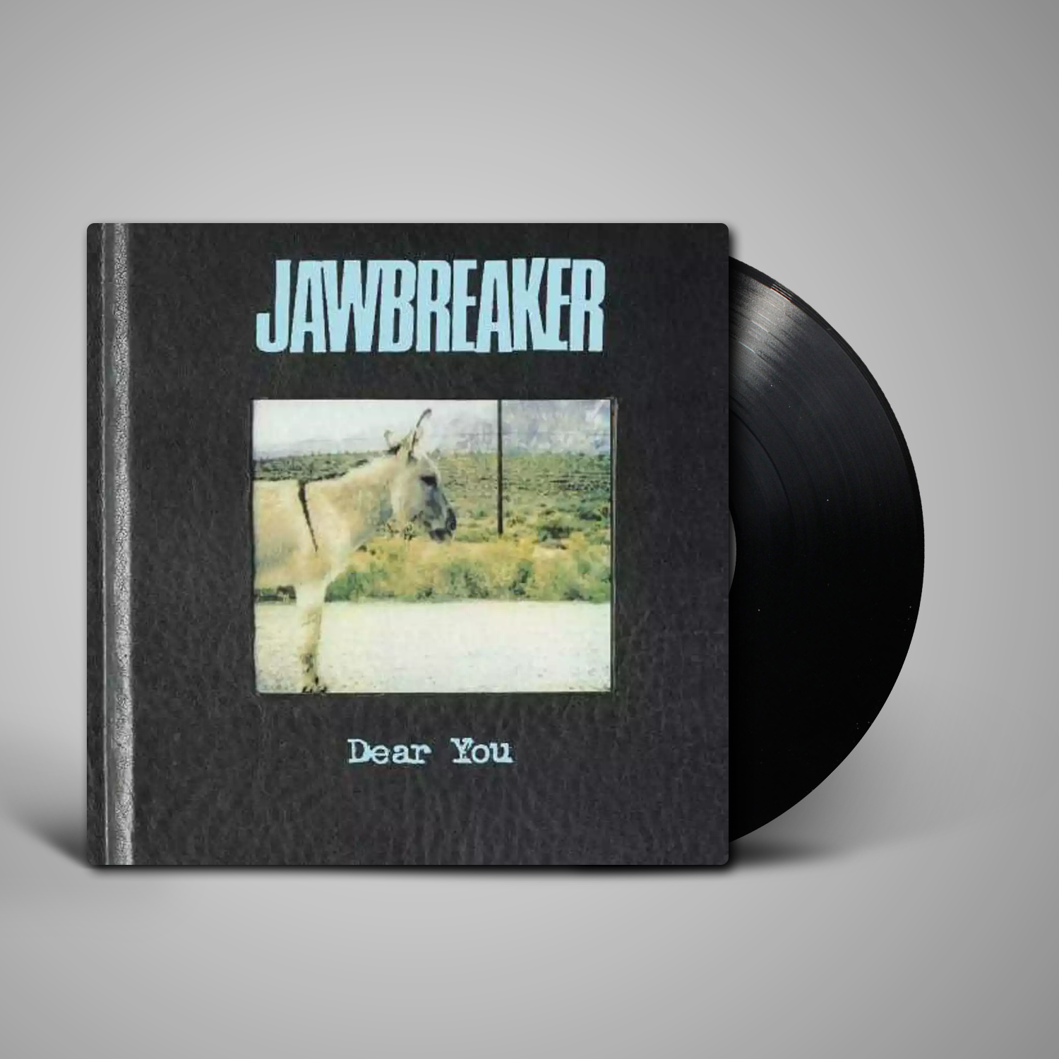 Jawbreaker 　Dear You オリジナル盤レコード Jawbreaker Dear You オリジナル盤レコード - メルカリ