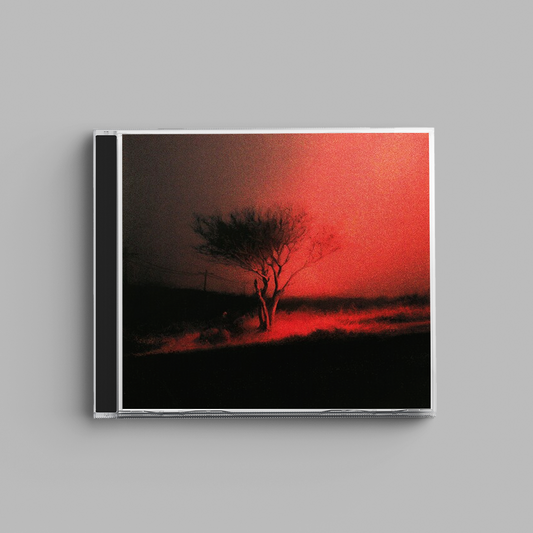 Joji -  Piss In The Wind (CD)