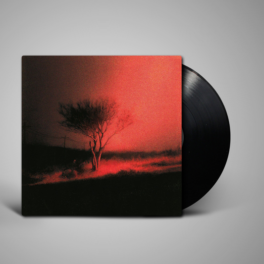 Joji - Piss In The Wind