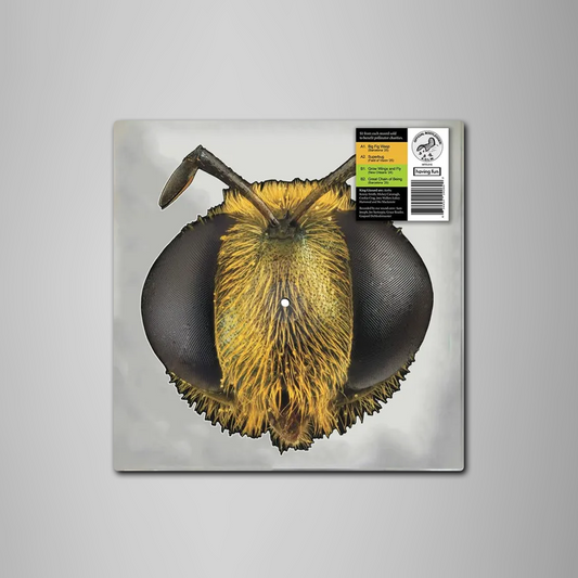 King Gizzard & The Lizard Wizard - Big Fig Wasp