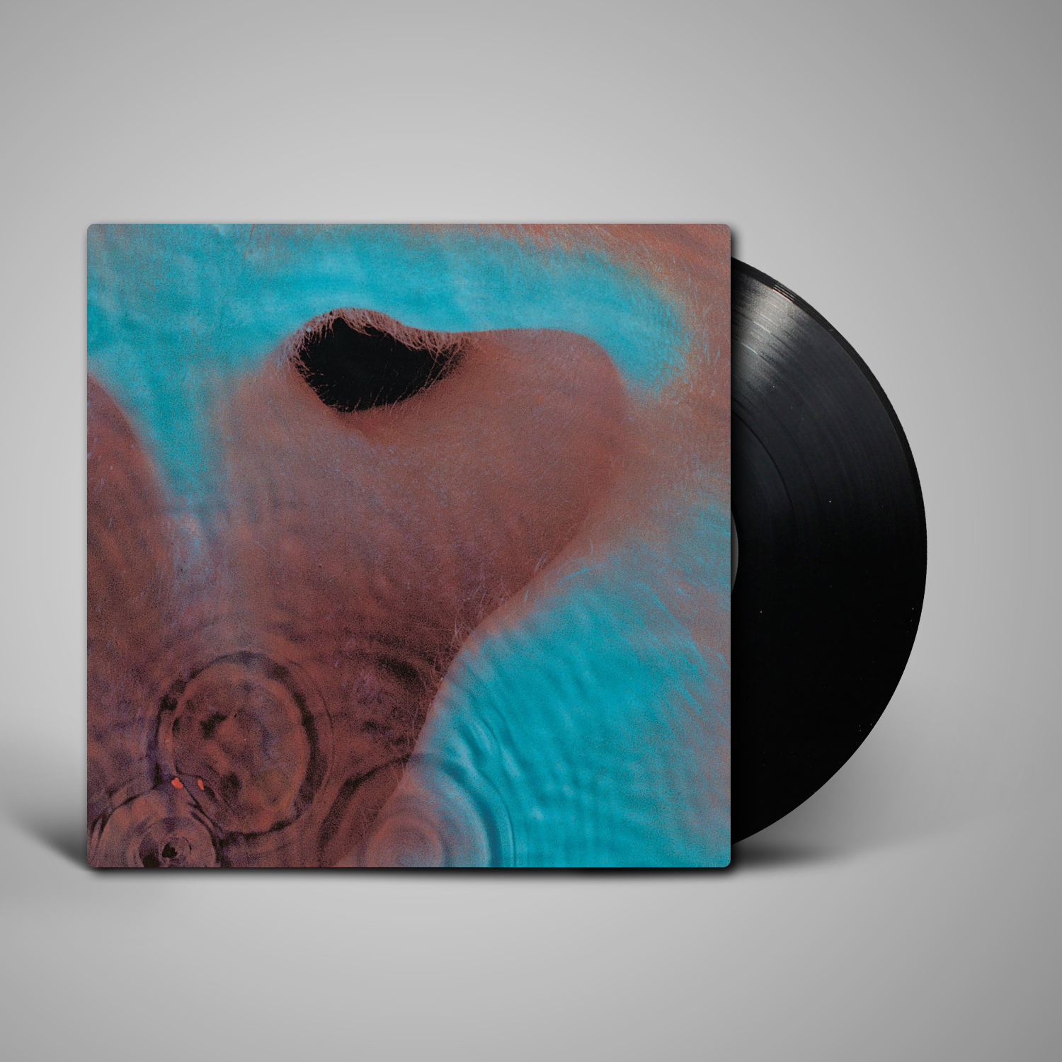 Pink Floyd - Meddle