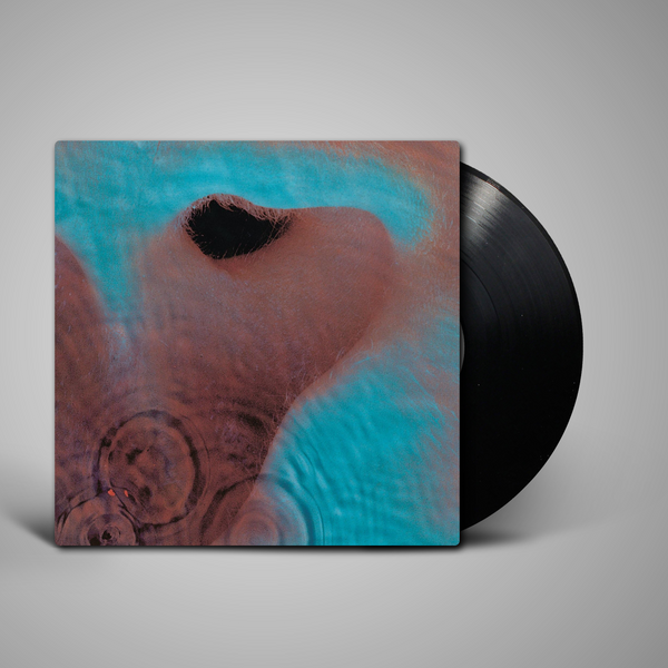Pink Floyd - Meddle – Resident Vinyl