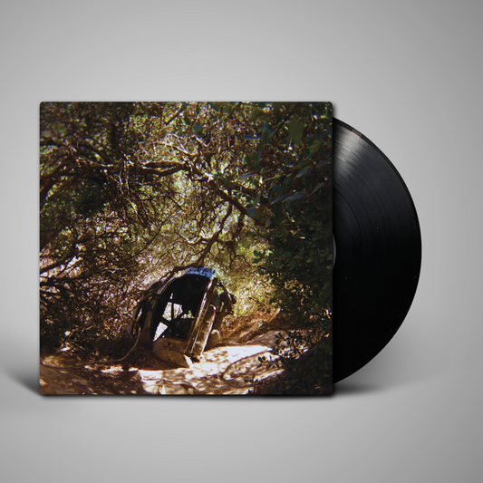 Ty Segall - Possession