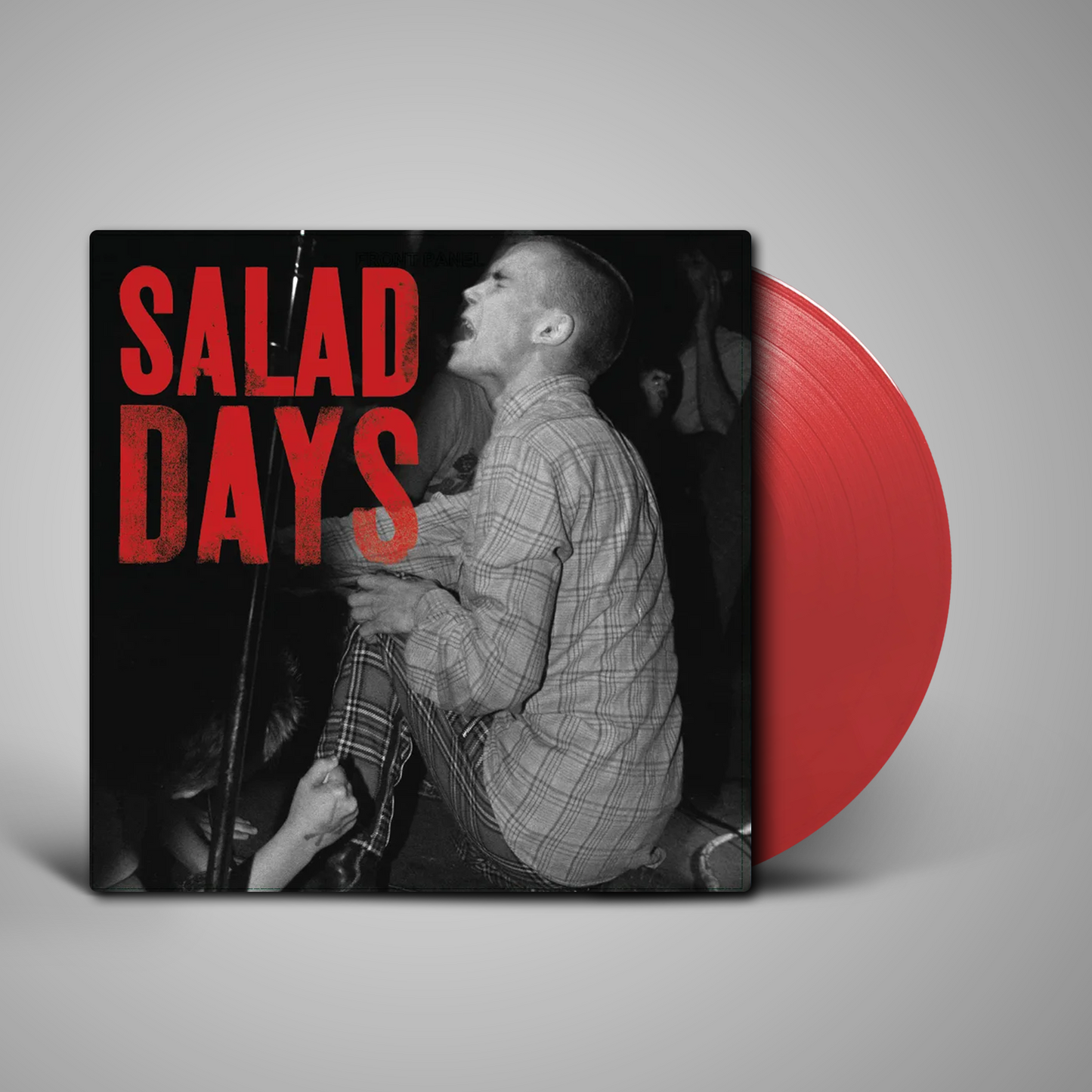 V/A - Salad Days: Music From The Documentary Film