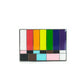 Color Bars and Tone LGBTQ+ Pride Pin