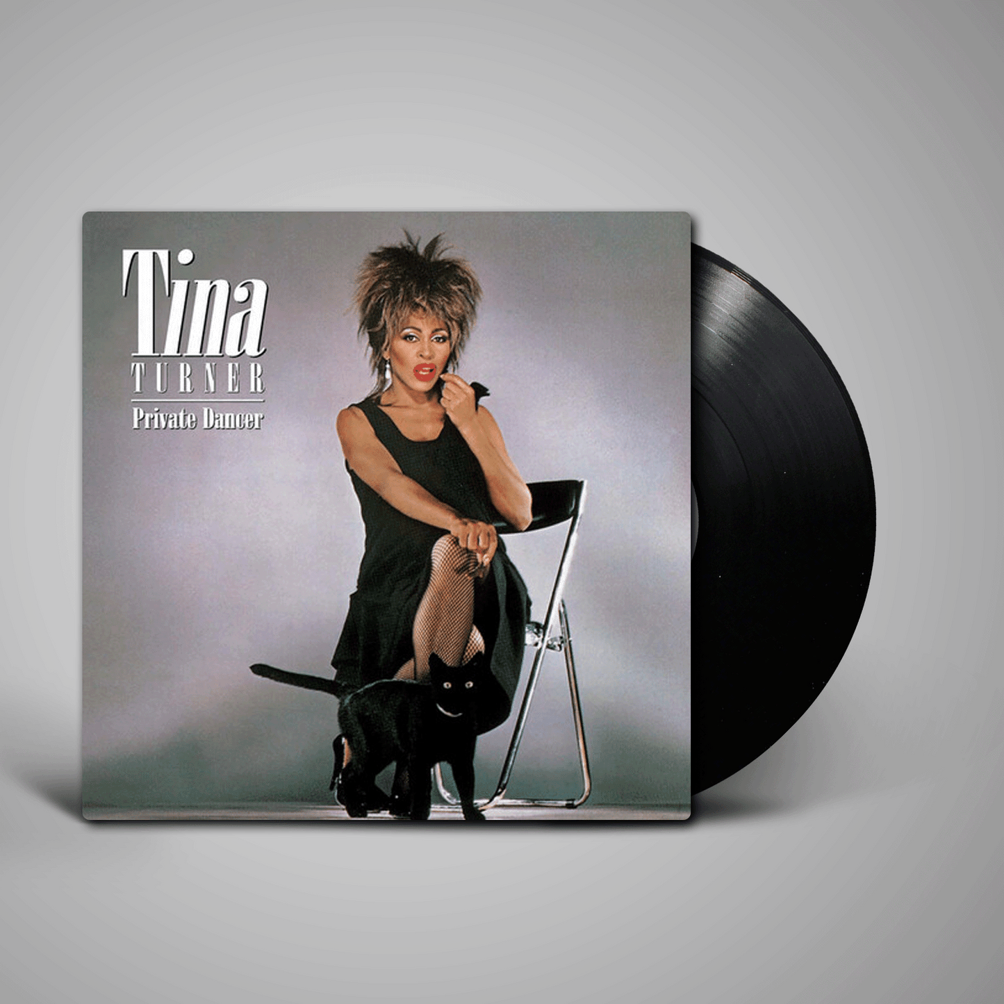 Tina Turner - Private Dancer