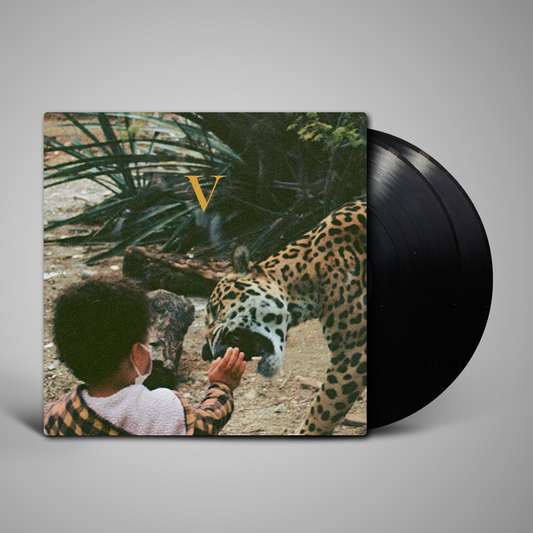 Unknown Mortal Orchestra - V