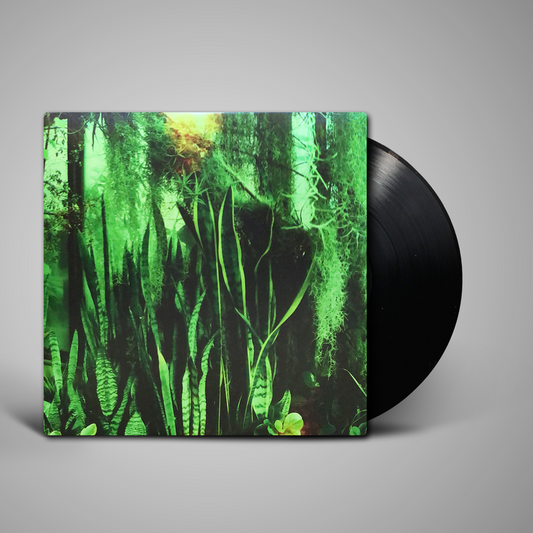 Promise Ring, The - Wood/Water